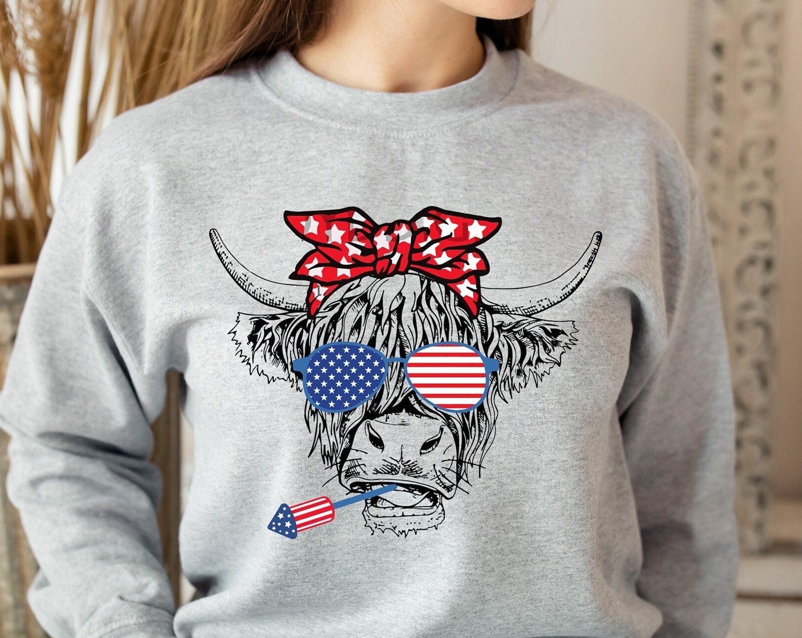 4 of July Party in the USA Sweatshirt